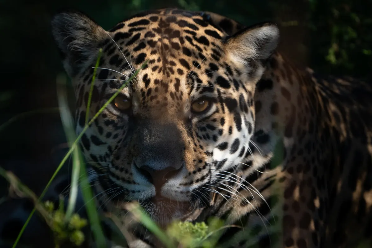 Turismo sustentable y naturaleza en Argentina
